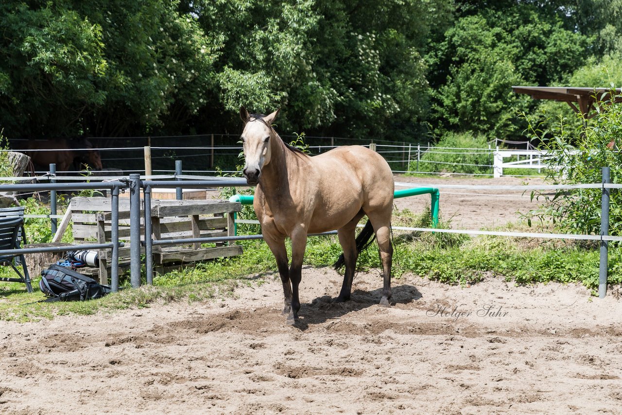 Bild 179 - Vivi